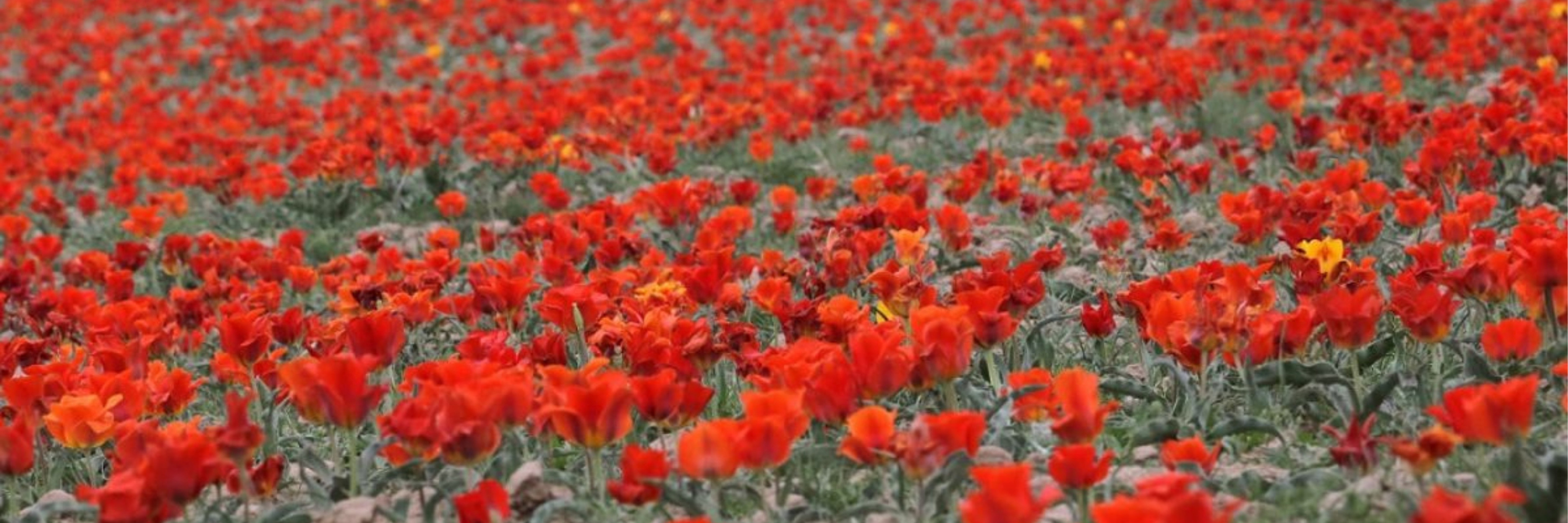 Жастармен жеке секс видеосы