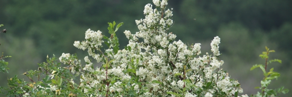 Мен жеке биден келдім