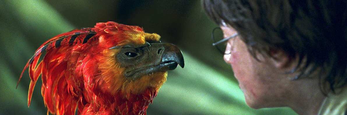 Екатеринбургте менің әйелімді кім сиқытады?