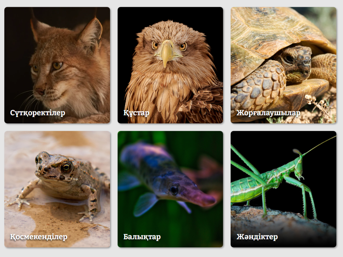 Апай мен Таня лесбиянка