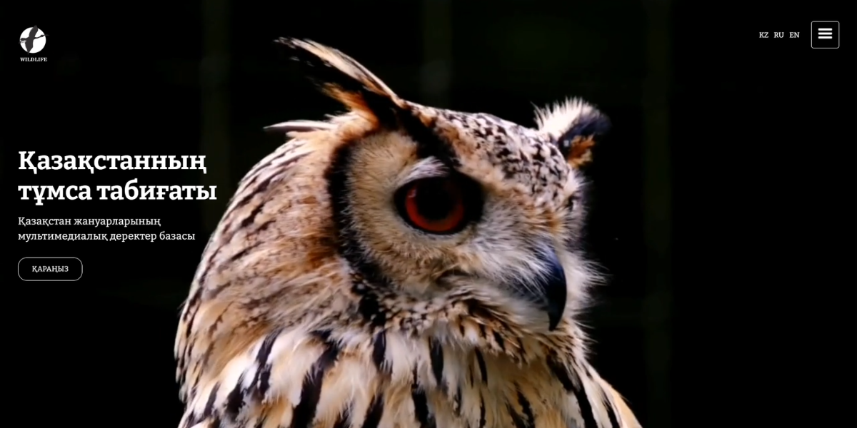 Надя Мейхердің жалған порно фотосуреттері