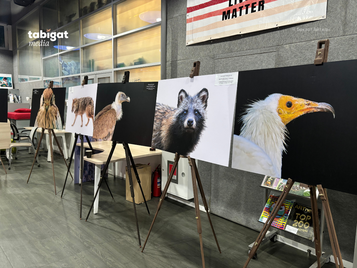 Порно кеудеге ілінген Корсеттегі аққұбамен порно