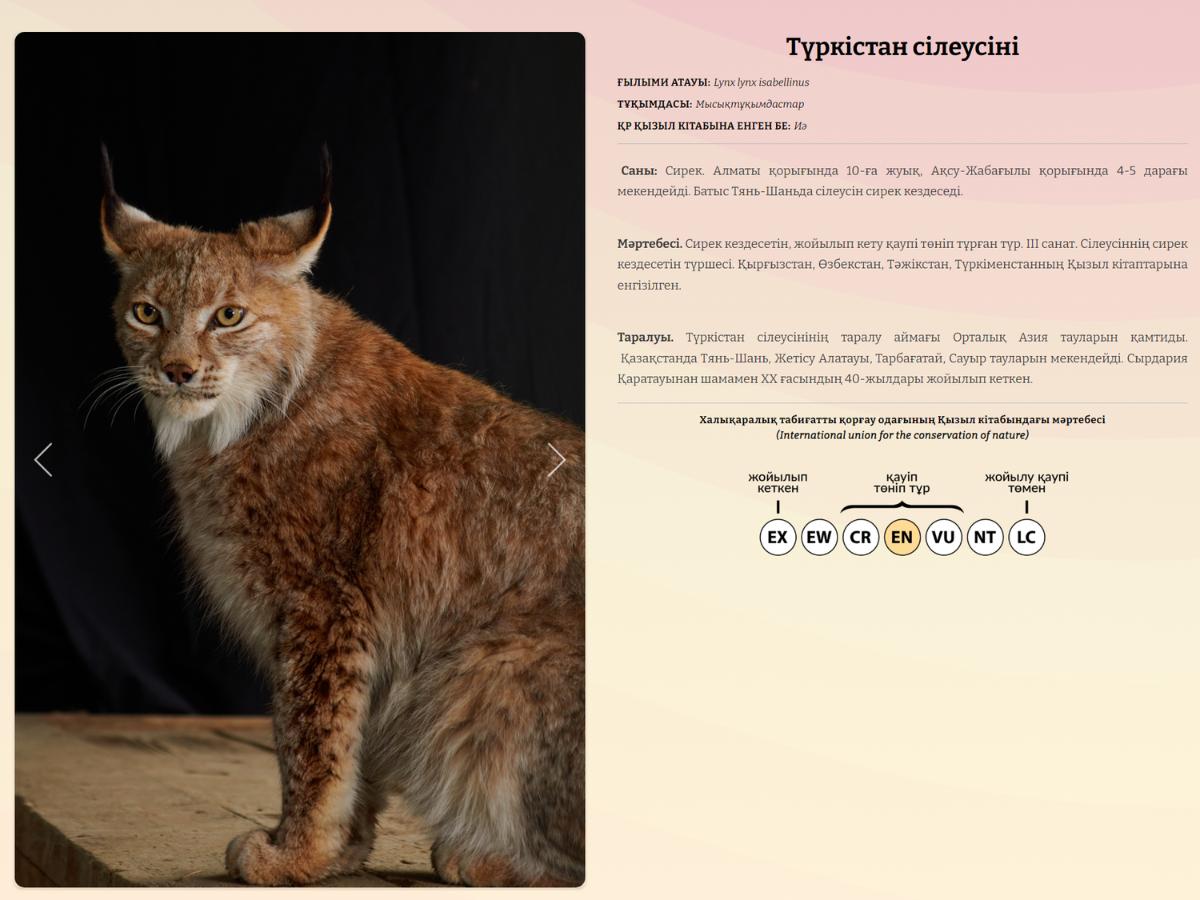 Минет кончил HD